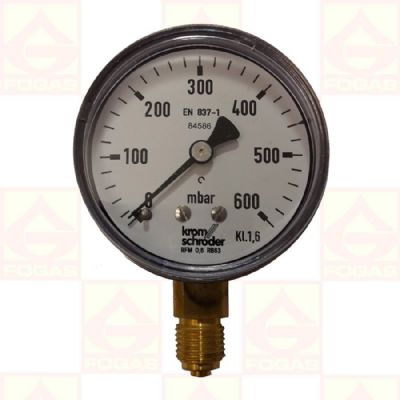Manometer 0-600mbar R1/4